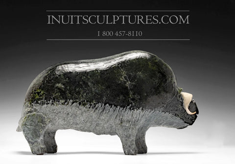 11" Dark Muskox by Joamie Aipeelee (1963 - 2020)