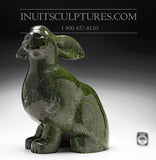 16" Arctic Hare by Johnny Lee Judea *Thumper*