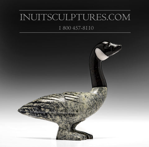 4" Canada Goose by Johnysa Mathewsie