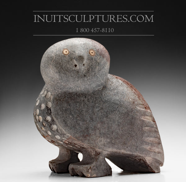 14" - 50 Lbs Large Purple Toned Owl by Kupapik Ningeocheak