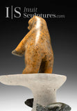 17" Bear and Seals by Louie Uttaq Gjoa Haven *Peek a Boo*