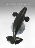 10" Beluga Whale by Louie Uttaq Gjoa Haven *Splendor*