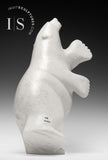 14" 2 Way Dancing Bear by Matt Flaherty  *Glacial*