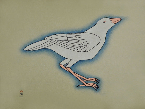 2015 WHITE RAVEN by Qavavau Manumie