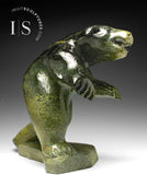 17" Ferocious Bear by Jaco Ishulutaq *Godzilla* CURATOR'S CHOICE