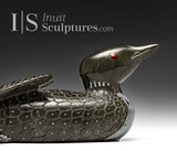 10" SIGNATURE Loon by Jimmy Iqaluq *Flight Lieutenant*