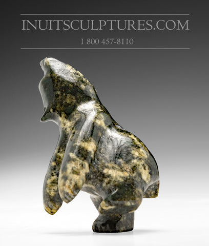 3" Dancing Bear by Johnny Papigatook *Joy*