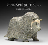 14" SIGNATURE Muskox by Lucassie Ikkidluak  *Glint*