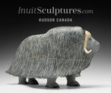 18" SIGNATURE Muskox by Lucassie Ikkidluaq *Capra*