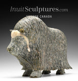 14" SIGNATURE Muskox by Lucassie Ikkidluak  *Glint*