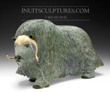 17" Muskox by Lucassie Ikkidluaq *Leading the Herd*