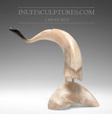 12" Muskox (Musk Ox) Horn Bird by Buddy Alikamik