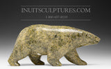 11" Golden Brown Walking Bear  Noah Jaw