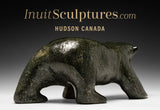 RESERVED** 13" Walking Bear by Elite Carver Nuna Parr *Hercules*