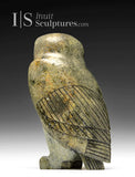 8" SIGNATURE Owl (rare colour stone) by Pits Qimirpik *Julius*