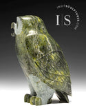 8" SIGNATURE Owl by Pitseolak Qimirpik *Irish*