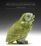 6" SIGNATURE Owl by Pitseolak  Qimirpik *Alert and On Guard*