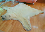 Original Polar Bear Skin Rug