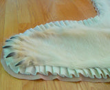 Original Polar Bear Skin Rug