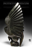 26" SIGNATURE Dancing Owl by Toonoo Sharky *Burning the Midnight Oil*